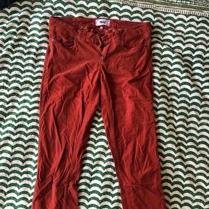 Paige burnt orange corduroy pants